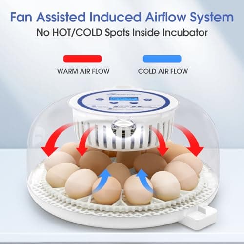 Sailnovo Automatic Egg Incubator with Turning, Humidity Display & Candler (Blue)