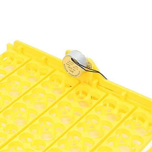 Zerodis Egg Incubator, Automatic Egg Turner for Home and Children