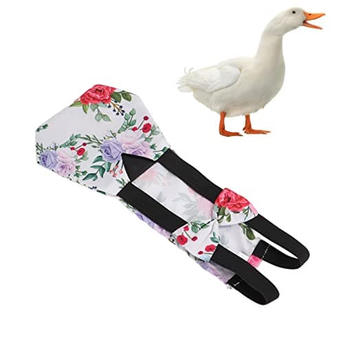 Pet Chicken Diapers with Peony Pattern for Loose Fits
