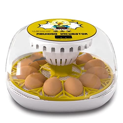 12-24 Egg Automatic Turning Incubator with Water Top-up, Fahrenheit Display, 360° View Poultry Hatcher