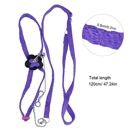 Bird Flying Rope for Macaw, African Greys, Parakeets Outdoor Training()