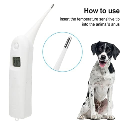 Zerodis LCD Digital Veterinary Thermometer for Pets with Memory Function
