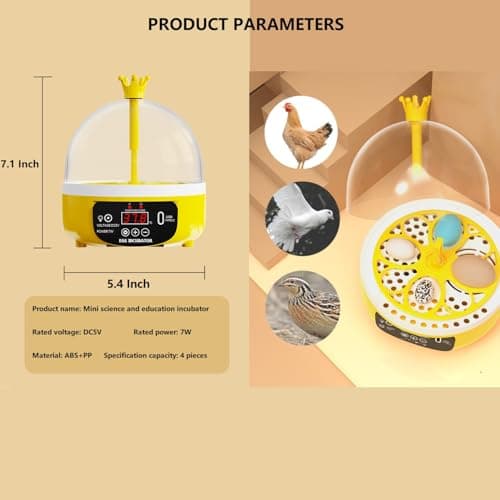 Automatic Egg Incubator for Chickens Ducks Pigeons, Holds 4 Chicken & 4 Quail Eggs