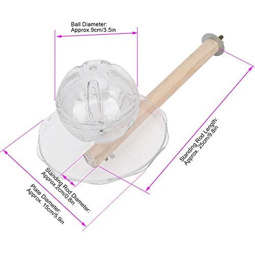 Creative Bird Foraging Ball Swing Toy for Training Feeding Fun
