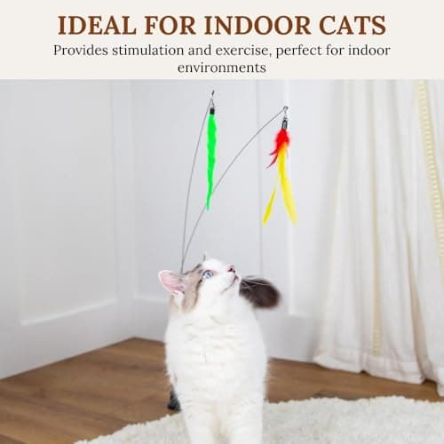 Interactive Cat Toys for Indoor Cats