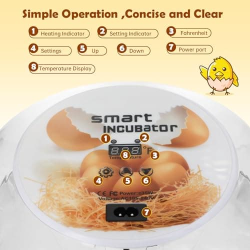 Automatic 12-Egg Incubator with 360° Window and Smart Display for Chick Hatching