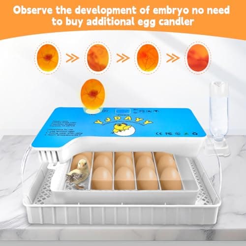15-35 Egg Incubator with Auto Turning & LED Temp Display for Poultry (Blue)