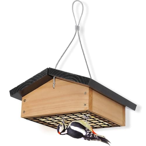 Woodpecker Tail Prop Suet Feeder, Blue, Hanging Outside — Black Upside-Down