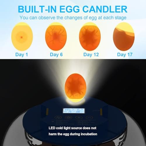 18 Egg Incubators with Automatic Turning & Temperature Control