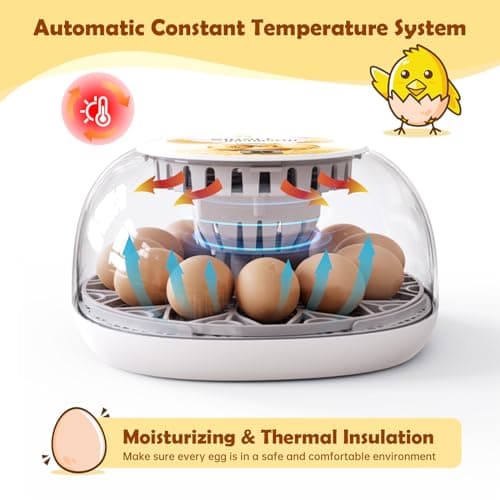 Automatic 12-Egg Incubator with 360° Window and Smart Display for Chick Hatching
