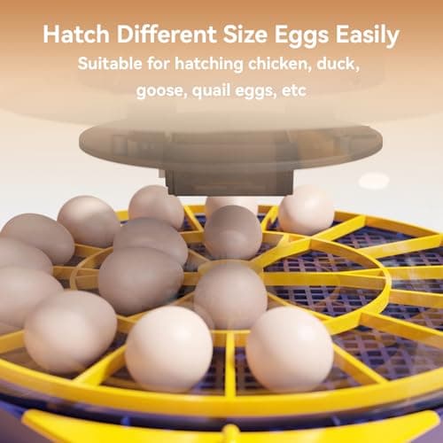 21-Egg Incubator with Temperature & Humidity Control, Automatic Turning, Blue