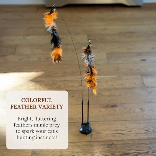 Interactive Cat Toys for Indoor Cats