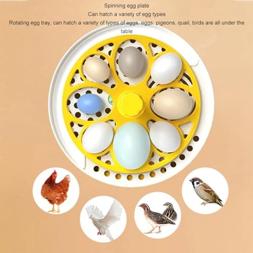 Automatic Egg Incubator for Chickens Ducks Pigeons, Holds 4 Chicken & 4 Quail Eggs