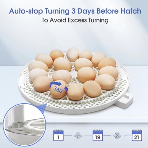 Sailnovo Automatic Egg Incubator with Turning, Humidity Display & Candler (Blue)