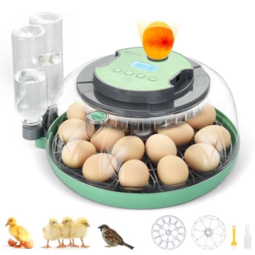 InIcubator 18 Egg Incubator with Auto Turning & Humidity Control - 360° Clear View for Hatching