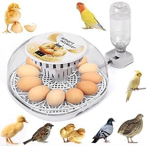 12-24 Egg Incubator with Automatic Flipping & Temperature Control