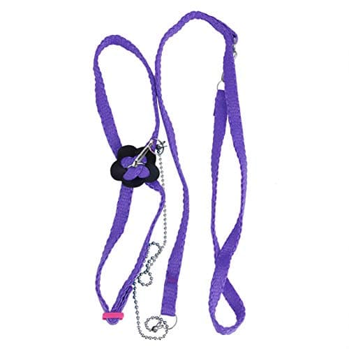 Bird Flying Rope for Macaw, African Greys, Parakeets Outdoor Training()