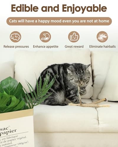 Tocirelo Silvervine Chew Sticks for Cats - 6 Pack Natural Dental Care Toy for Indoor Kittens