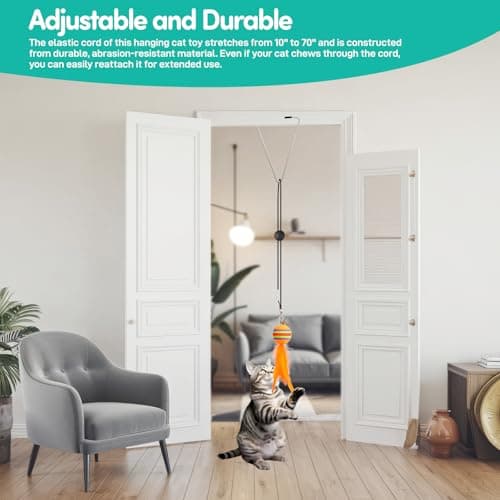 Engaging Cat Toy for Indoor Adult Cats