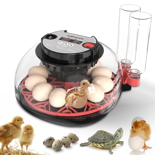 12-Egg Automatic Turning Incubator with Humidity Control & 360° View Water Adder for Hatching Eggs