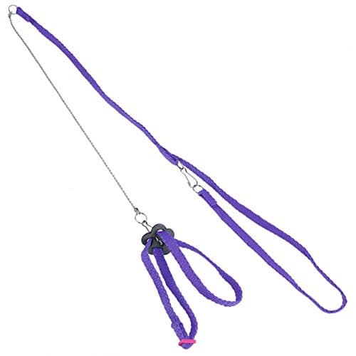 Bird Flying Rope for Macaw, African Greys, Parakeets Outdoor Training()