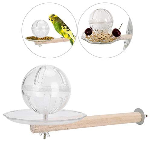 Creative Bird Foraging Ball Swing Toy for Training Feeding Fun