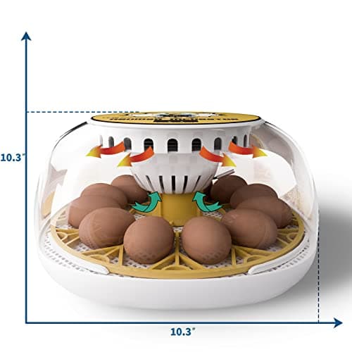 12-24 Egg Automatic Turning Incubator with Water Top-up, Fahrenheit Display, 360° View Poultry Hatcher