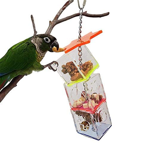 Parrot Foraging Ball & Swing Toy Feeding Kit