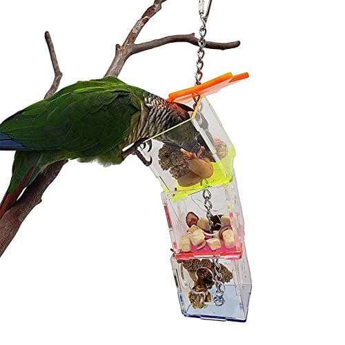 Parrot Foraging Ball & Swing Toy Feeding Kit