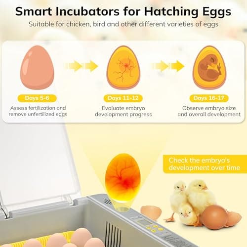 36-60 Egg Incubator with Auto Turning & Humidity Control, 360° View Digital Display Incubator for Hatching Chicken, Duck