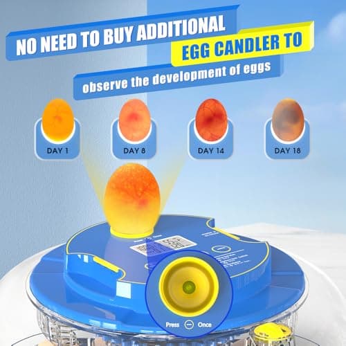 18 Egg Automatic Turning Incubator for Chicken and Quail Eggs