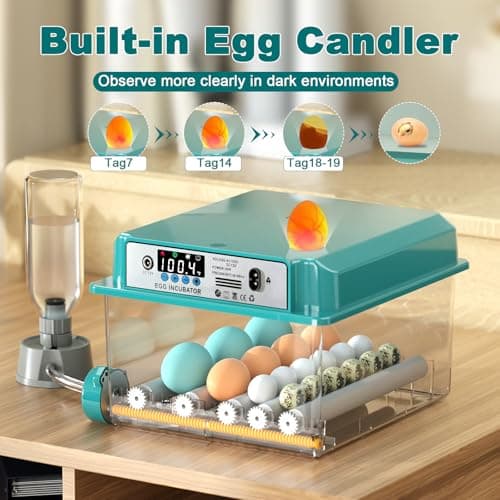 12-16 Egg Automatic Incubator for Chicken & Quail Eggs