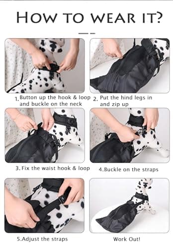 Dog Drag Bag for Disabled Paralyzed Rear Legs - XL