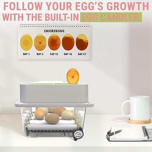 Egg Incubator Okkobi OBI-12 - 12 Eggs, Automatic Turning, Humidity Control