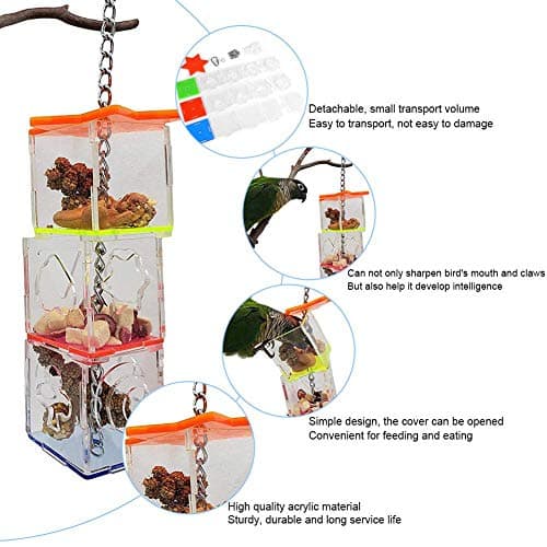 Parrot Foraging Ball & Swing Toy Feeding Kit