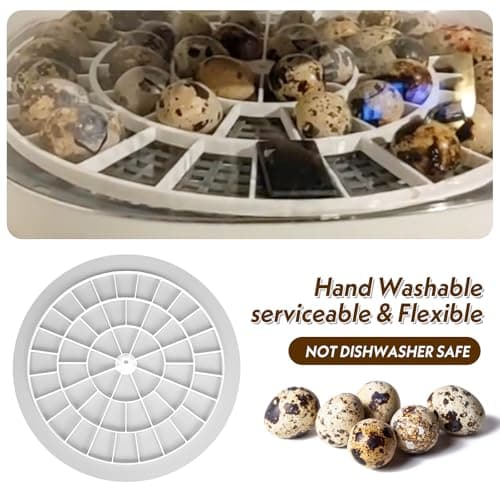 Nurture Right 360 Quail/Bird Egg Trays - Small, 48 Eggs