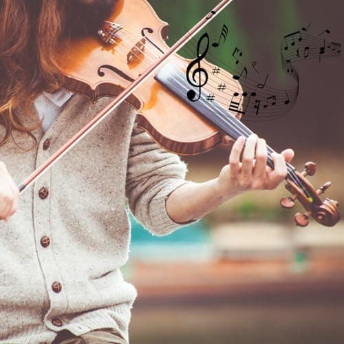 Natural Acoustic 4/4 Violin for Beginners Full Sized Musical Instruments