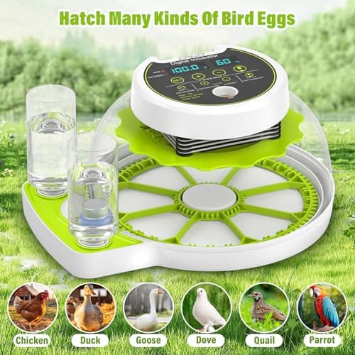 Automatic Egg Turner Chicken Incubator with Humidity Control, Holds 8 Eggs