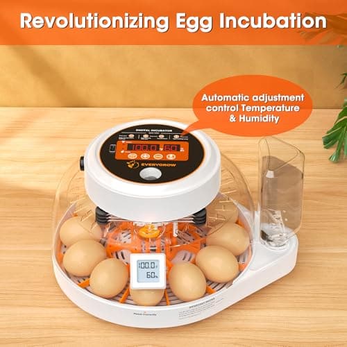 Smart Incubator for Hatching Eggs with Automatic Turning and Humidity Control