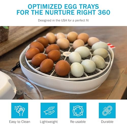 Durable Egg Tray for Nurture Right 360 Incubator - 22 Medium Chicken Eggs
