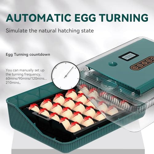 Ovatt Digital Egg Incubator with Auto Turning, Temp & Humidity Control for Hatching Chicken, Duck, Quail, Goose Eggs