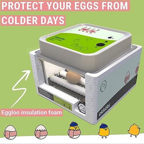 Egg Incubator Okkobi OBI-12 - 12 Eggs, Automatic Turning, Humidity Control