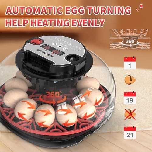 12-Egg Automatic Turning Incubator with Humidity Control & 360° View Water Adder for Hatching Eggs