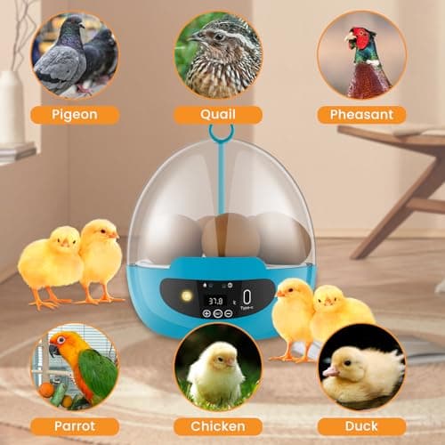 Automatic Egg Turning Poultry Incubator with Temperature Control