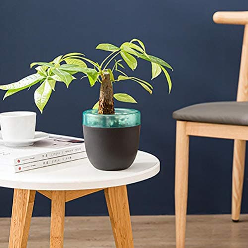 Self-Watering African Violet Pot, Double Layer Design, Black/White Mini Office Home Gardening