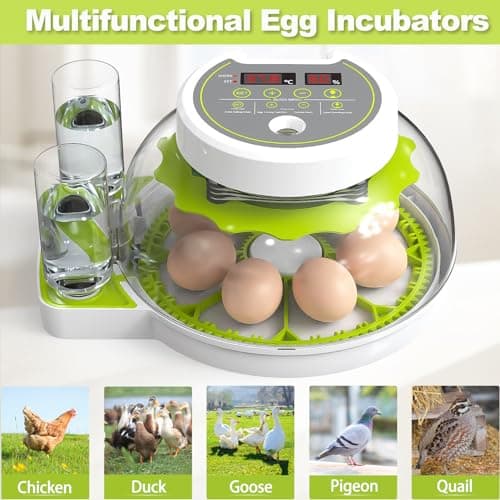 Automatic Egg Turning Incubator for Hatching Chicks, Ducks, and More