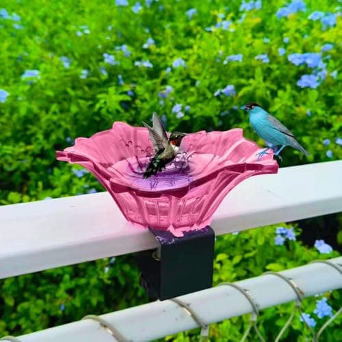 Rose Red Carbon Steel Plastic Bird Feeder Bowl with Adjustable Clamp
