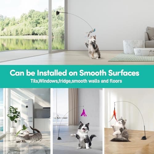 Engaging Cat Toy for Indoor Adult Cats
