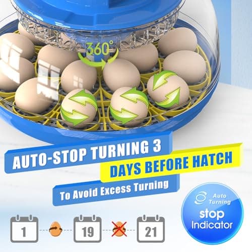 18 Egg Automatic Turning Incubator for Chicken and Quail Eggs