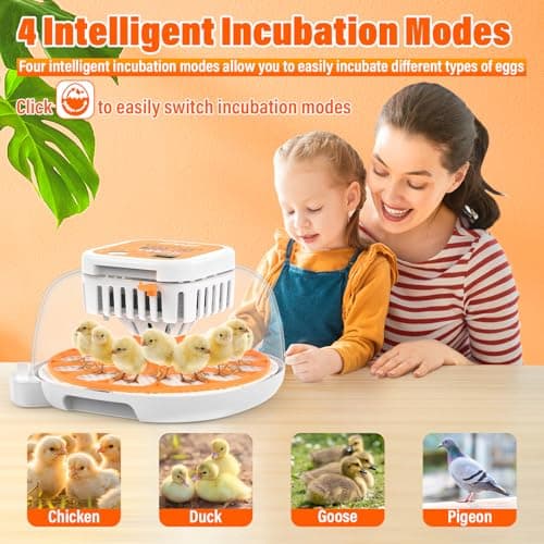 12 Incubators for Hatching Chicken, Duck, Quail & Goose with Automatic Turning & Humidity Control